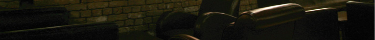 lower image